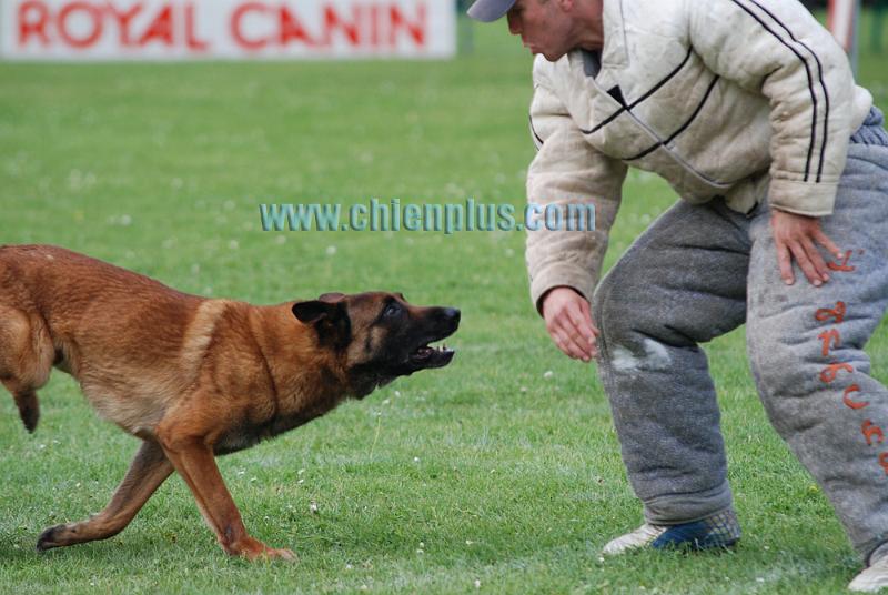 SELECTIF BEAUVAIS 2009 494.jpg